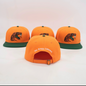 FAMU baseball cap
